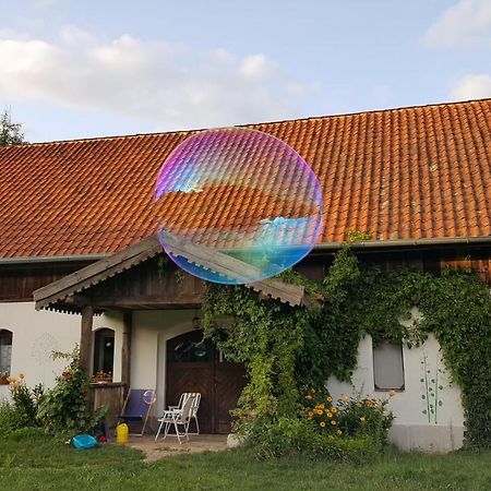 Jablkowo-Na Skraju Puszczy Boreckiej Sniadania W Cenie Jablonowo Exterior foto