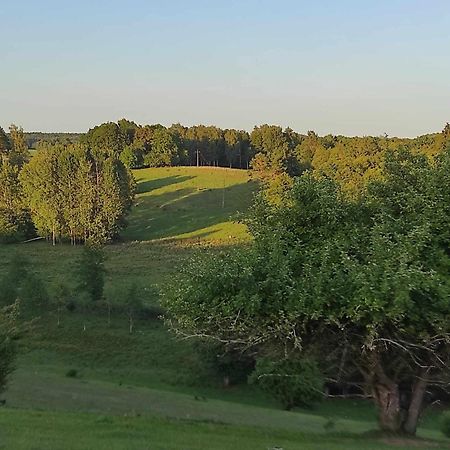Jablkowo-Na Skraju Puszczy Boreckiej Sniadania W Cenie Jablonowo Exterior foto