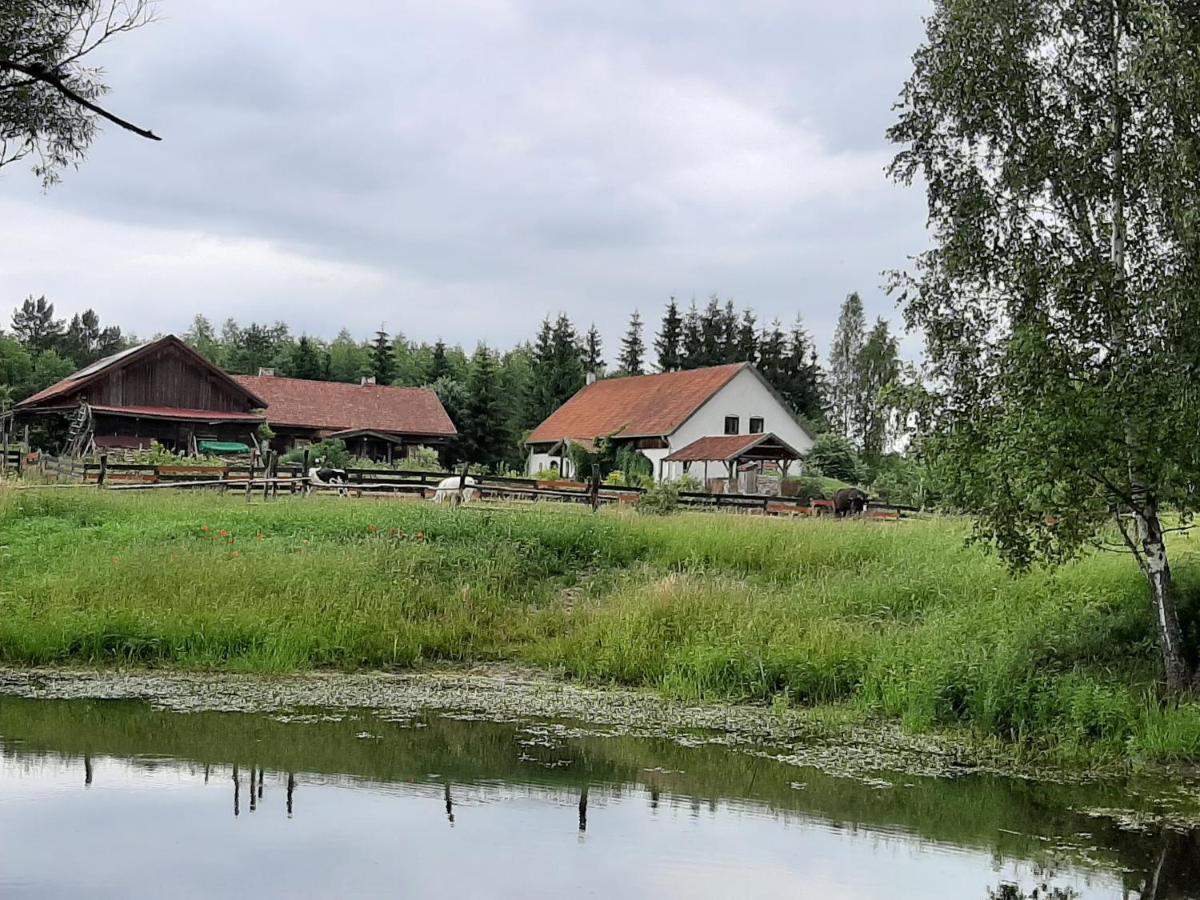 Jablkowo-Na Skraju Puszczy Boreckiej Sniadania W Cenie Jablonowo Exterior foto