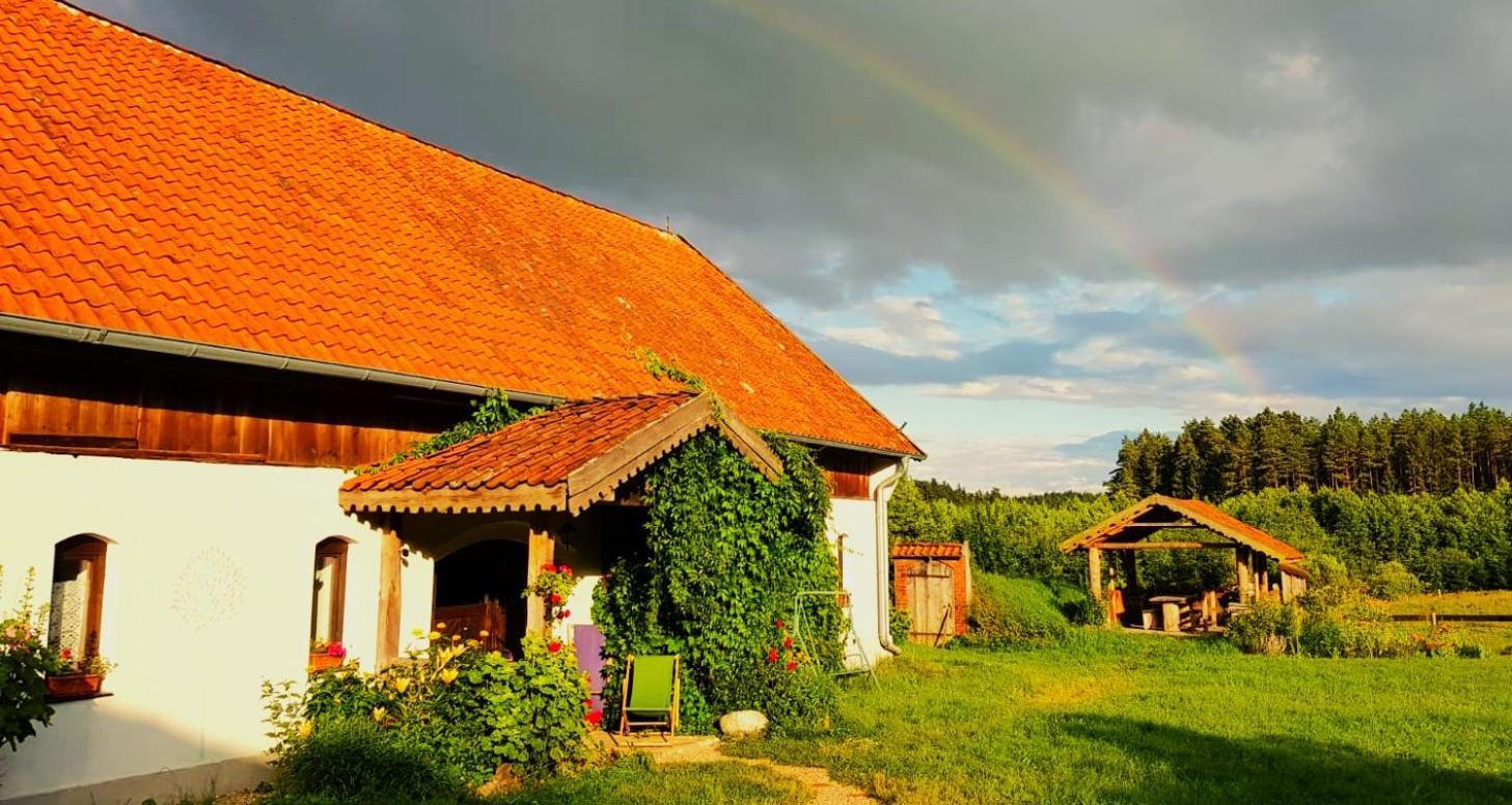 Jablkowo-Na Skraju Puszczy Boreckiej Sniadania W Cenie Jablonowo Exterior foto