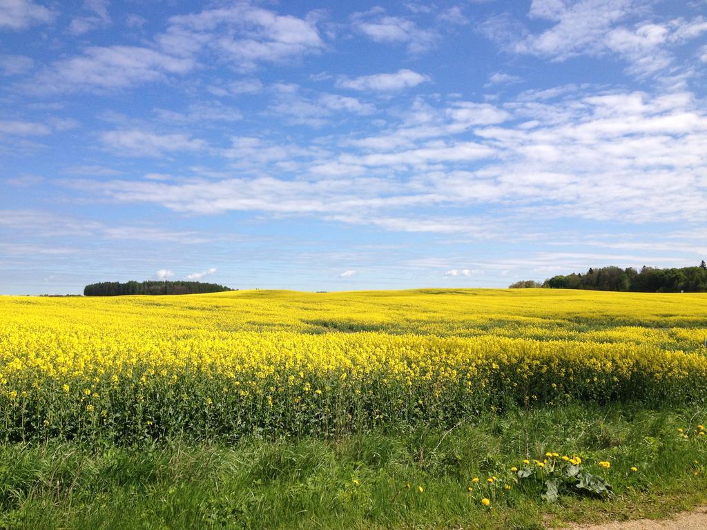 Jablkowo-Na Skraju Puszczy Boreckiej Sniadania W Cenie Jablonowo Exterior foto