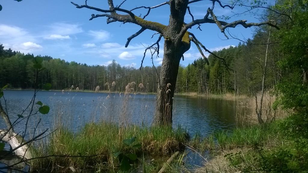 Jablkowo-Na Skraju Puszczy Boreckiej Sniadania W Cenie Jablonowo Exterior foto