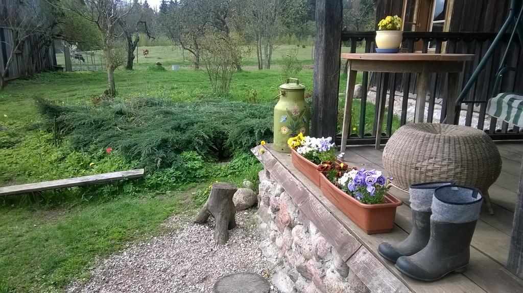 Jablkowo-Na Skraju Puszczy Boreckiej Sniadania W Cenie Jablonowo Exterior foto